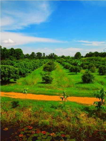 Therdthai Farm Boutique Hotel 수코타이 외부 사진
